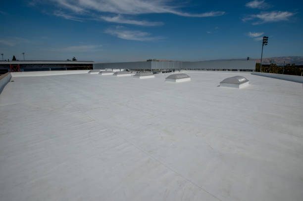Best Gutter Installation and Repair  in Atlanta, IL