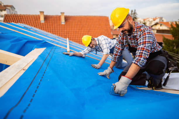 Best Rubber Roofing (EPDM, TPO)  in Atlanta, IL
