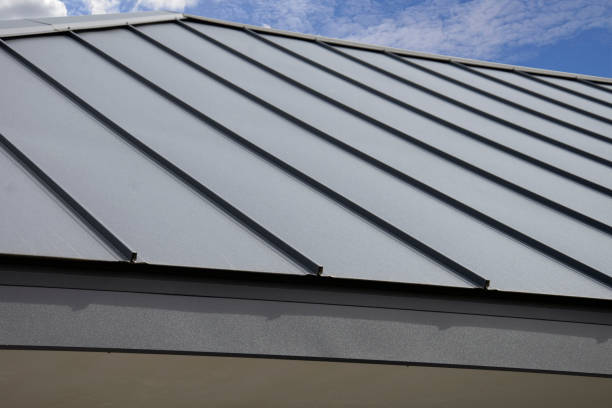 Best Skylight Installation and Repair  in Atlanta, IL