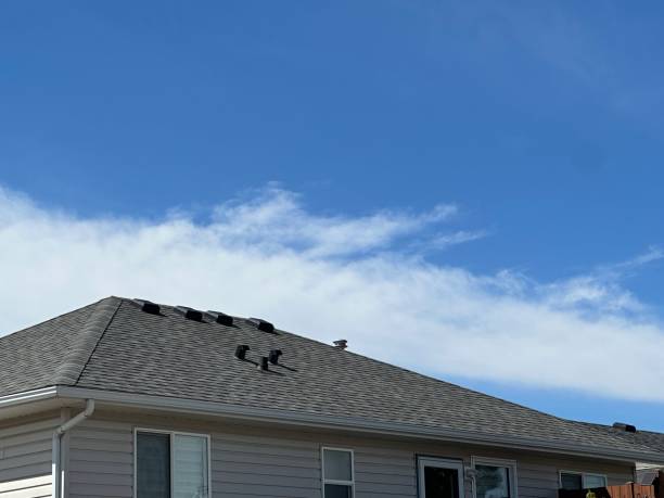 Best Gutter Installation and Repair  in Atlanta, IL